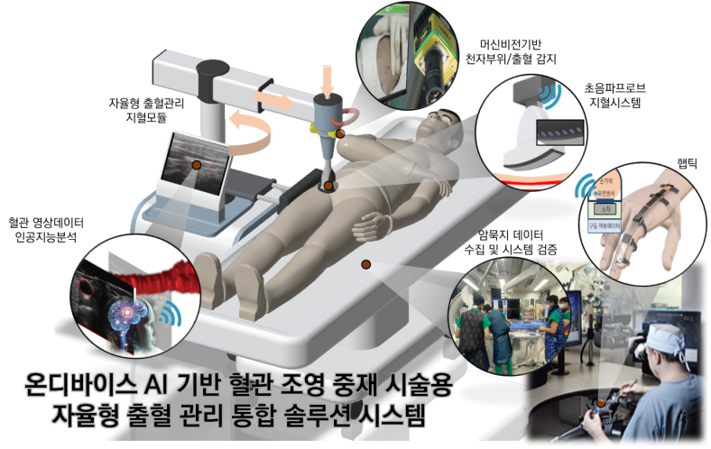 [Ongoing] 혈관 영상데이터를 수집·분석·추론하는 자율 실험실 연계 온디바이스 AI 기반 혈관 조영 중재